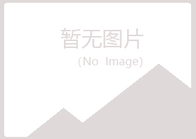 新民女孩美容有限公司